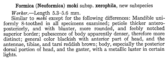 the original species description for Formica xerophila (first page)