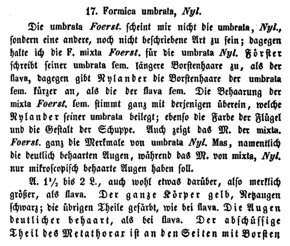 the original species description for Lasius umbratus (second page)