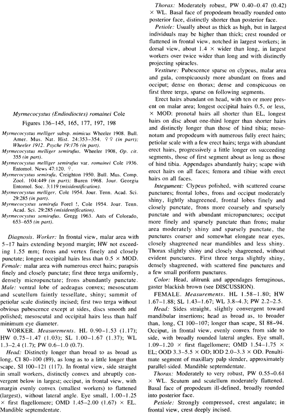 species description for Myrmecocystus romainei (second page)